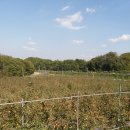 승기농장 이미지