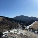 양떼목장 | [평창] 영하 -10도인 날 '대관령 양떼목장' 후기