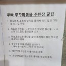 쭈빠37 이미지