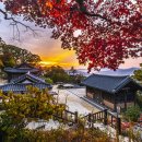 세종펜션민박 이미지