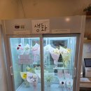 서구-01-109 | [꽃차림 봉명점] 대전 봉명동 꽃집 추천 24시 무인 꽃다발 픽업 솔직 후기