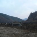 호곡농장 Daum카페
