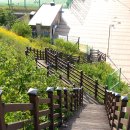 임호체육공원 축구장 이미지