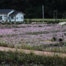 아름다운 마을 이미지