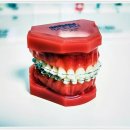 서울아산센트럴치과의원 이미지