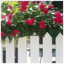 정열공인중개사사무소 이미지