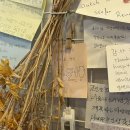 에스파스 호스텔 이미지