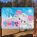 늘솔길공원화장실 티스토리