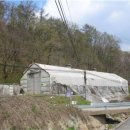 분당-294 이미지