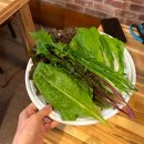 [구미/형곡동]구미 로컬 막창 맛집 &#34; 불난숯불막창&#34;
