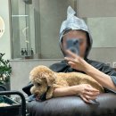 홈플러스 후문 | 독산동미용실 &#39;순수 금천독산점&#39; 클리닉, 레이어드 허쉬컷 후기