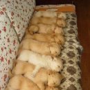 옹기종기 이미지