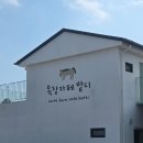 중티목장 | 제주 동쪽 성산 카페 예비 맘띠맘 추천하는 제주 태교여행지 추천 "제주 목장카페 밭디"
