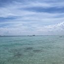 파라다이스가든 이미지