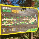 서울 상암 월드컵공원 유아숲체험원 아기랑 놀이터 즐기기