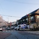 아중장어 이미지