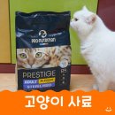 기호성 좋은 고양이 사료 아크피앤씨 고양이 중성화 치킨