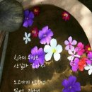나폴리회식당 이미지