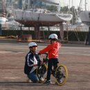 부산자전거강습 : 자전거 안전교육을 하는 이유 이미지