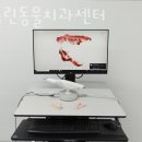 베를린 동물치과센터 | 송파구 방이동 동물병원 베를린동물치과센터 진료시간 접근성 이용후기