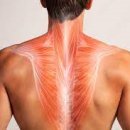 어썸핏 신봉점 이미지