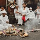 호텔발리3 이미지