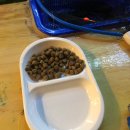 행운낚시터 이미지