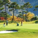 그랑셰프(클럽하우스) 이미지