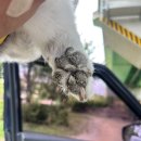 석전근린공원 이미지