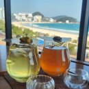 중앙로535번길 외국인 관광특구 차 없는 거리_1 | 송정 오션뷰 카페 수월경화, 제주브리즈와 쫀득모찌 후기