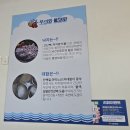 무의도 물회맛집 [무의랑물회랑 무의점]