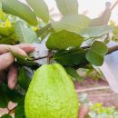 성원축산 이미지