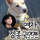팅커벨 이미지