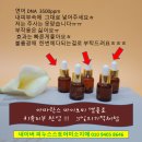 피누스스토어 일류 이미지