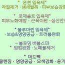 도그웨이살롱 이미지