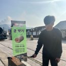 곡성 섬진강 기차마을 이미지