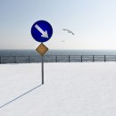 (주)벽제 이미지