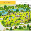무릉작은도서관 | 강원도 캠핑장 | 동해 무릉계곡 힐링캠프장 (예약/사이트/시설정보/후기)
