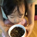 알파꽃식물원