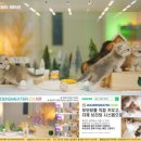 나무다락방 민박 이미지