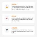 바른피싱 이미지