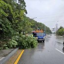 중동교 하단 이미지