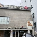 부산동물병원 | 부산24시동물병원에서 8살 강아지 스케일링 받고 온 후기 UN동물의료센터
