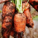 원신기농장 이미지