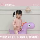 토이미소 큐트 호피 디노 점핑볼 실내놀이 대근육 발달 추천