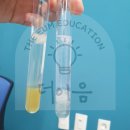 공존과이음 | [더이음교육_진로체험] 생명공학자_DNA 추출 실험_부산 서구 진로센터_250927