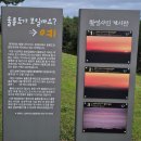 거북바위야영장 | 삼척의 좋은 해변 전망대와 휴양림 - 임원항 수로부인 헌화공원, 검봉산자연휴양림