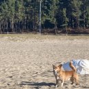 근덕약국 이미지