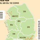 오공복이 이미지