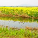 사람과자연 이미지